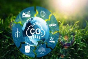 Net zero